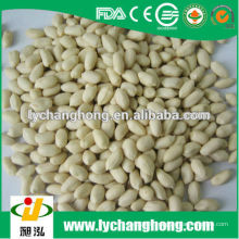 Le grain d&#39;arachide blanchi de Chine